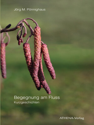 cover image of Begegnung am Fluss
